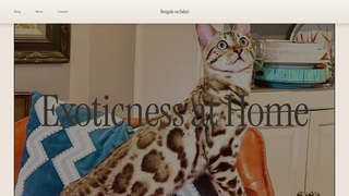 Thumbnail of bengalsonsafari.com