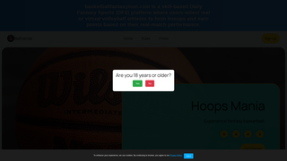 Thumbnail of basketballfantasytour.com