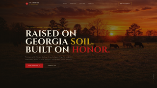 Screenshot of dlsfarms.net