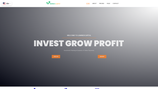 Thumbnail of luminexcapital.com