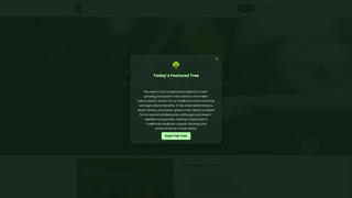 Thumbnail of gotreeman.com