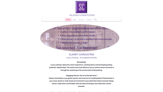 Thumbnail of slaneyconsulting.com