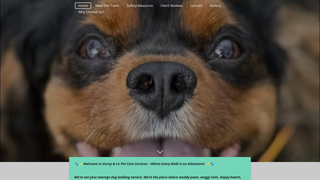 Thumbnail of dorey-and-co-pet-care.org