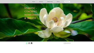 Thumbnail of somaticcoachingnina.com