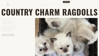 Thumbnail of countrycharmragdolls.com