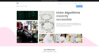 Thumbnail of instantalgo.com