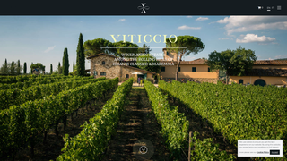 Thumbnail of viticcio-promo.com