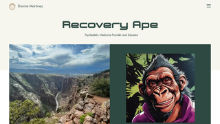 Thumbnail of recoveryape.com