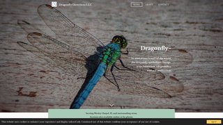 Thumbnail of dragonflydirectionsllc.com