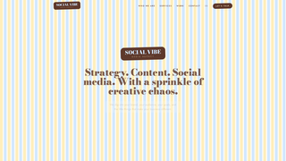 Screenshot of socialvibemediaagency.com