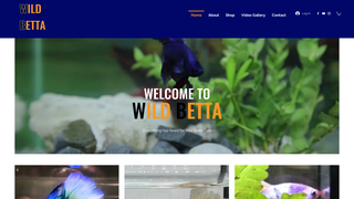 Thumbnail of wildbettatvm.com