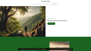 Thumbnail of wildwooder.com