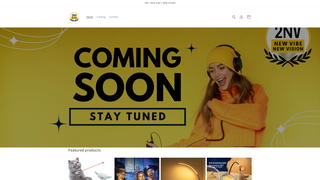 Thumbnail of 2nvglobal.com
