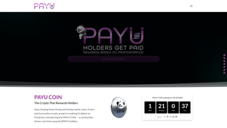Thumbnail of payupanda.com