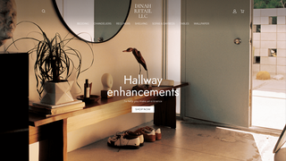Thumbnail of dinahretail.com