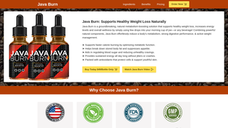 Thumbnail of usa-javaburrn.com