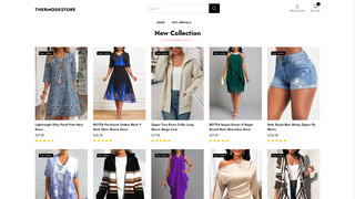 Thumbnail of thermodestore.com