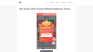 Thumbnail of big-small.net