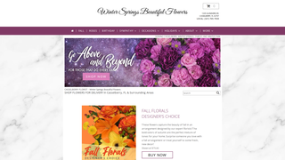 Thumbnail of winterspringsbeautifulflowers.net