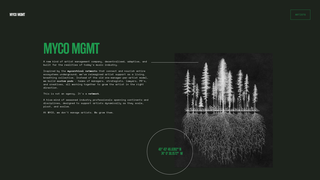 Thumbnail of myco-mgmt.com