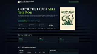 Thumbnail of bitcoinliquidations.com
