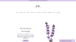 Thumbnail of elevern.com