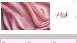 Thumbnail of aerialfitt.com