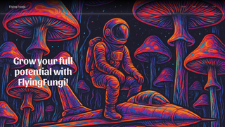 Thumbnail of flyingfungi.com