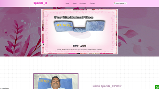 Thumbnail of spendsx.com