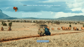 Thumbnail of tambula-nnange-tours.com