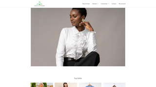 Thumbnail of elegantladydresses.com