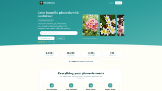 Site preview