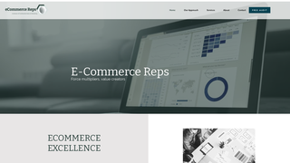 Thumbnail of ecommreps.com