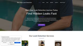 Thumbnail of bayleakdetection.com