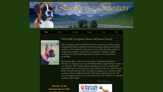 Thumbnail of quinneysboxersandbostonterriers.com