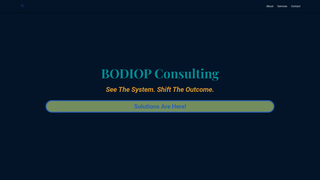 Screenshot of bodiopconsulting.com