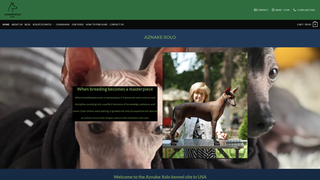 Thumbnail of aznakexolo.com