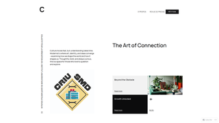 Thumbnail of collectifrenovationinstitutdouglas.com