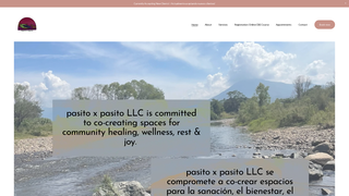 Thumbnail of pasitoxpasito.com