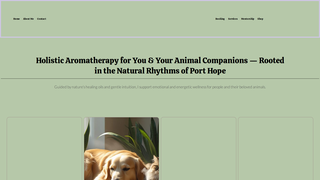 Thumbnail of lyndasnaturalhealing.com