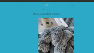 Thumbnail of blanketandbeam.com