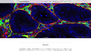 Thumbnail of takashinishina.com