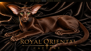 Screenshot of royalorientalcattery.com