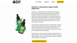 Thumbnail of go-flashburn.com