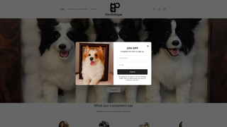 Thumbnail of pawfeltique.com