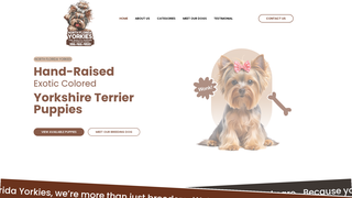 Thumbnail of northflorida-yorkies.com