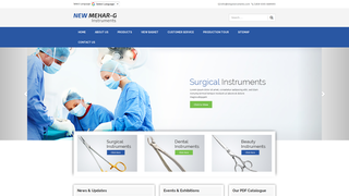Thumbnail of nmginstruments.com