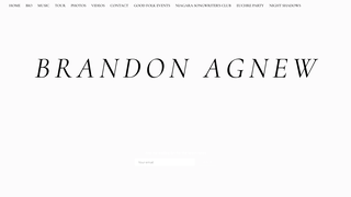 Thumbnail of brandonagnew.com