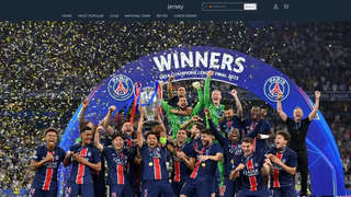 Thumbnail of linjersey.com