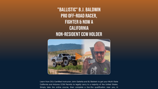 Thumbnail of ballisticbaldwin.com
